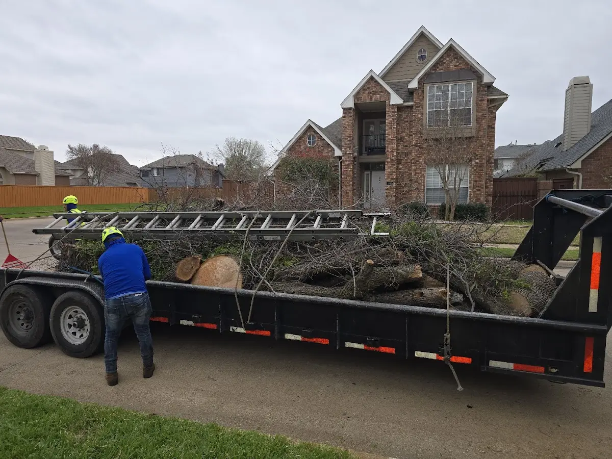 Expert Tree Fertilization with proper safety equipment in Veteran
